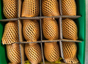 佳沛（zespri）新西蘭 陽光金果12粒單果約122-146g 獼猴桃 中秋水果禮盒 曬單實(shí)拍圖