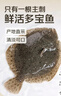 【大只】鮮活大多寶魚(yú)1條（600-800g） 曬單實(shí)拍圖