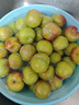 京鮮生 攀枝花凱特芒果 凈重4.5斤 單果600g 生鮮水果 源頭直發(fā) 曬單實(shí)拍圖