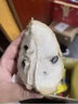 采緹（CAITI）現(xiàn)貨大目鳳梨釋迦果5斤 新鮮番荔枝佛頭果水果孕婦整箱 精選凈重一斤中果（2-3個(gè)） 曬單實(shí)拍圖