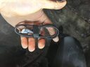 CableCCUSB-C公對母延長(cháng)線(xiàn)10GB彎頭延長(cháng)Type-C線(xiàn)Gen2 16芯視頻4K投屏3.1C公對公連接線(xiàn)10Gbps全功能U型線(xiàn) 公對母上下彎頭 0.5M 曬單實(shí)拍圖