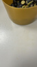 大希地安格斯牛脆脆100g原味風(fēng)干牛肉牛排脆片 高蛋白配料干凈休閑零食 曬單實(shí)拍圖