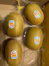 佳沛（zespri）新西蘭  陽(yáng)光金奇異果10粒禮盒巨大果單果約144-175g 水果 獼猴桃 曬單實(shí)拍圖