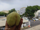 山東當季青州蜜桃新鮮脆甜可口毛桃冬桃產(chǎn)地直發(fā)-鮮集 青州蜜桃帶箱5斤 曬單實(shí)拍圖