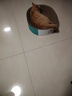瘋狂的主人貓抓板窩特大號貓玩具貓爪板貓抓盆不掉屑貓窩橢圓形瓦楞紙 曬單實(shí)拍圖