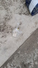 芬騰內褲女3條裝10A抑菌加長(cháng)純棉感蕾絲高腰收腹包臀女士?jì)妊?曬單實(shí)拍圖