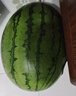 正宗北京龐各莊頭茬小西瓜1.5kg 曬單實(shí)拍圖