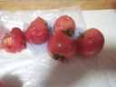 康田匯 陜西普羅旺斯水果西紅柿番茄沙瓤可生吃新鮮采摘新鮮蔬菜 2.5斤 泡沫托裝A級(jí)果凈2斤+ 源頭直發(fā) 曬單實(shí)拍圖