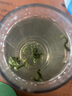 茶滿紀茶葉綠茶明前碧螺春茶嫩芽2025年新茶250g茶葉禮盒教師節(jié)中秋送禮 曬單實拍圖