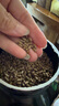 德瑞水族 龜糧烏龜飼料 巴西龜鱷龜飼料 豬鼻龜草龜糧食 小龜剃刀龜糧中粒 曬單實拍圖