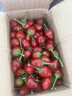 辰實(shí)【現(xiàn)貨】燈籠椒 子彈頭辣椒 新鮮草莓椒 紅辣椒海椒泡椒剁辣椒 5斤【現(xiàn)摘現(xiàn)發(fā)】紅色 曬單實(shí)拍圖