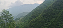 爺爺?shù)霓r(nóng)場有機胚芽米營養(yǎng)大米粥米搭配寶寶鮮米350g*3盒裝 嬰幼兒可食用 曬單實拍圖