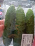 【水果菜】東北旱黃瓜約550g 曬單實(shí)拍圖
