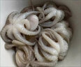 新鮮鮮活冷凍短腿章魚(yú)足小八爪魚(yú)迷你新鮮小章魚(yú) 500g /袋（15個(gè)左右） 500克(凈重)  鮮凍小八爪【1斤】 曬單實(shí)拍圖