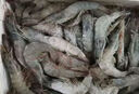 賣(mài)魚(yú)郎先生 王牌鹽凍大蝦原裝進(jìn)口 去冰凈蝦3斤 30-45只 厄瓜多爾白蝦 曬單實(shí)拍圖