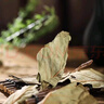 弘禮堂柿子葉200克 新鮮干貨柿葉霜后柿子樹葉霜打柿子葉茶干泡水喝 曬單實(shí)拍圖