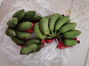 三萌果蔬廣西小米蕉【青蕉發(fā)貨收到需催熟】芭蕉新鮮水果應(yīng)季香蕉現(xiàn)摘現(xiàn)發(fā) 5斤 甄選果【香甜粉糯】凈4.5斤 曬單實(shí)拍圖