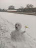 中糧香雪（COFCOXIANGXUE）可可摩卡風(fēng)味冰慕斯蛋糕 休閑聚會(huì)下午茶糕點(diǎn)生日蛋糕105g*9 曬單實(shí)拍圖