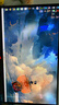 華碩ROG  OLED 26.5英寸2K 240Hz  0.03ms響應(yīng)Aura sync神光同步技術(shù) XG27ACDNG OLED+2K+360Hz 曬單實(shí)拍圖