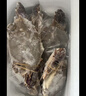 梭子蟹鮮活特大野生舟山大螃蟹海鮮新鮮冷凍海蟹水產(chǎn)飛蟹白蟹順豐 7-9兩/只 【凈重5斤特大梭子蟹】 曬單實(shí)拍圖