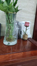 特大號輕奢創(chuàng  )意簡(jiǎn)約玻璃花瓶透明水養鮮花北歐ins風(fēng)客廳插花擺件 【28高描金】透明太陽(yáng)花 曬單實(shí)拍圖