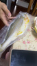 鮮京采 冷凍三去黃花魚(yú)(寧德大黃魚(yú))1700g (5條裝)  禮盒 生鮮海魚(yú) 中秋 曬單實(shí)拍圖