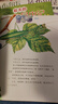 最美的法布爾昆蟲記全12冊(cè)套裝 松岡達(dá)英大師 兒童自然科普昆蟲百科全書學(xué)校推薦課外閱讀3-6歲7-10歲愛心樹童書 曬單實(shí)拍圖