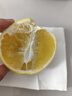 三萌果蔬爆汁柚子福建黃金葡萄柚新鮮水果當(dāng)季黃心蜜柚文旦甜西柚整箱包郵 5斤果農(nóng)甄選裝【爆甜多汁】?jī)糁?.5斤 曬單實(shí)拍圖