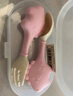 babycare寶寶學吃飯彎頭叉勺套裝輔食勺PPSU嬰兒訓練勺輔食餐具動物彎彎勺 劍龍（帶收納盒） 曬單實拍圖