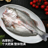 黃小漁三去海鱸魚(yú)2斤/2條 開(kāi)背鱸魚(yú) 生鮮 魚(yú)類(lèi) 海鮮水產(chǎn)燒烤食材 中秋 曬單實(shí)拍圖