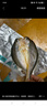 鴻順黃魚(yú)鲞400g/條 免殺即烹 黃花魚(yú) 生鮮魚(yú)類(lèi) 海鮮燒烤食材 曬單實(shí)拍圖
