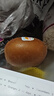 佳沛（zespri）新西蘭陽光金奇異果原箱 16粒巨無霸 單果重約202-230g   獼猴桃 曬單實拍圖