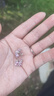 XUPING旭平首飾gdx合金時(shí)尚甜美優(yōu)雅花花靈動(dòng)耳釘女送禮飾品X000786701 粉色 曬單實(shí)拍圖