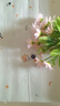 斯沃森（SWARSON）墻貼自粘墻紙貼畫兒童臥室裝飾貼紙防潮防霉背景墻面翻新墻壁貼紙 曬單實拍圖
