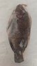 翔泰海南三去羅非魚(yú)/海南鯛1400g/共4條免處理 生鮮魚(yú)類(lèi) 海鮮水產(chǎn)中秋 曬單實(shí)拍圖