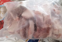 魯南順發(fā)黑豬排骨 （含脆骨10%） 凈重4斤  源頭直發(fā) 曬單實(shí)拍圖