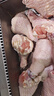 華都食品單凍翅根  凈重6斤/袋 冷凍雞翅根燒烤鹵味食材生鮮食品 曬單實(shí)拍圖