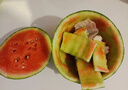 【產(chǎn)地直采】正宗北京龐各莊頭茬吊秧小西瓜1粒2kg 曬單實(shí)拍圖