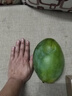 【大臉芒】京喜加四川凱特芒果 帶箱兩斤裝200g+ 曬單實(shí)拍圖