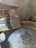 雙槍油壺噴霧倒油噴油一體兩用霧化食用油玻璃油壺廚房家用不掛油 曬單實拍圖