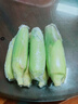 京鮮生&佳農(nóng)寶菜山東水果玉米單根275g+鮮甜多汁4-7根凈重4.6斤源頭直發(fā) 曬單實拍圖