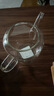 馳諾圍爐碳烤煮茶壺高硼硅耐熱玻璃泡茶壺不銹鋼漏茶水分離平底方茶壺 -茶壺 650ml 單壺 曬單實(shí)拍圖