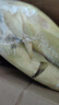 新鮮現(xiàn)摘水果玉米爆漿多汁直播間輕食早餐買菜超市蔬菜品質(zhì) 新鮮水果玉米9斤 含箱 曬單實拍圖