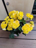 四季海棠麗格海棠重瓣玫瑰海棠盆栽花卉觀花植物室內(nèi)四季開花帶花 黃色+橙色黃心 【原土原盆帶花發(fā)貨】 曬單實(shí)拍圖