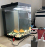 米家智能桌面魚(yú)缸小米生態(tài)魚(yú)缸小型智能專(zhuān)業(yè)背濾一體缸自循環(huán) 曬單實(shí)拍圖