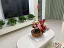 COOCAA創(chuàng)維電視60英寸六重120Hz高刷4K智能彩電護(hù)眼液晶電視機(jī)政府補(bǔ)貼電視國(guó)家補(bǔ)貼入口60寸吋以舊換新 60英寸 2025升級(jí)款+一級(jí)能效+120Hz（千人購(gòu)買） 曬單實(shí)拍圖