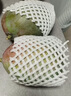趣嘗鮮 攀枝花凱特芒2粒裝 大果 單果600g+  源頭直發(fā) 一件包郵 曬單實(shí)拍圖