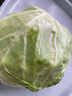 【綠色認證】鮮美白蘑菇230g 曬單實(shí)拍圖