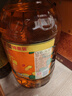 金龍魚 食用油 物理壓榨 壓榨一級花生油6.18L 曬單實拍圖