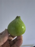 京覓 山東威海青皮無(wú)花果 凈重450g 單果35g起 新鮮水果 源頭直發(fā)包郵 曬單實(shí)拍圖